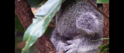 Vidéo sans titre ‐ Réalisée avec Clipchamp.mp4