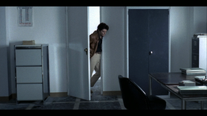 L'oiseau au plumage de cristal 1.mpg