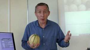 Comment choisir un bon melon- IPM 2023 Graphisme et video.mp4
