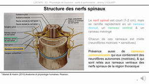 L2-UE5.1-CM2-capsule3.mp4