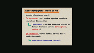 Mycologie Médicale Elm Aliouat le 25_03_2019 Partie 1