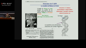 20250919_Hamdane_8h-9h_las2.mp4