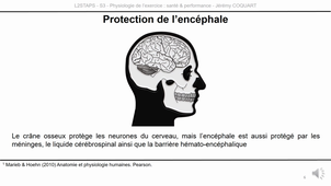L2-UE5.1-CM1-Capsule2.mp4