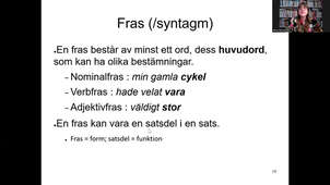 L3-ling-Introduktion-lingvistik-lektion2b.mp4
