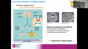 BI1_CM_Communication An2_cours du 12-10-2020