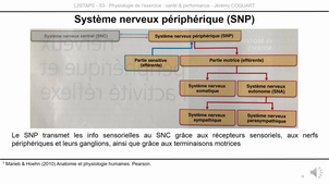 L2-UE5.1-CM2-capsule1.mp4