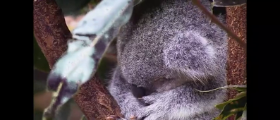 Vidéo sans titre ‐ Réalisée avec Clipchamp.mp4