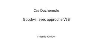 Duchemole VSB