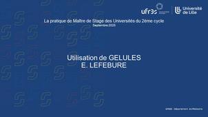 2025, 5. Utilisation de GELULES - E. LEFEBURE