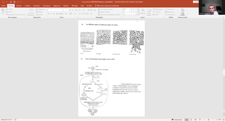 video cours cancer 1.mp4