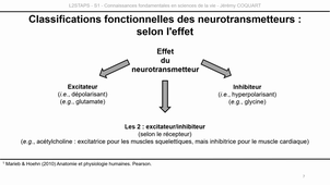 L2-UE3.1-CM2-Capsule3.mp4