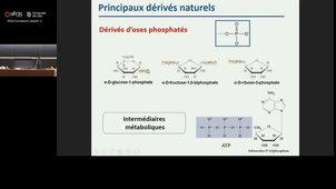Chimie - Biochimie 2 - CC