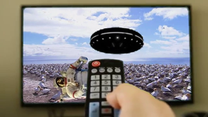 La vie sauvage ‐ Réalisée avec Clipchamp 2.mp4