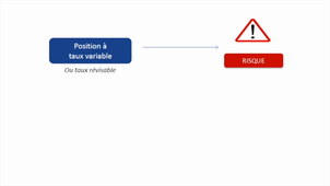 Risque de taux d'intérêt : Mesure du risque de cash-flow