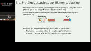 Biologie cellulaire - Membranes cellulaires - SL