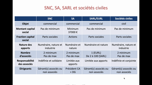 Imposition des entreprises et statut des dirigeants