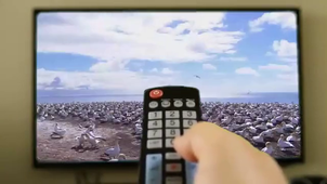 La vie Sauvage.Lola.mp4