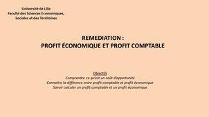 Remédiation : Profit économique