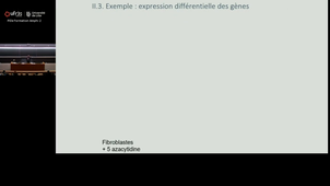 20251010_Lancel_11h-12h_las2.mp4