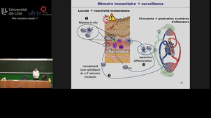 20231013_Labalette_11h-12h_med2.mp4