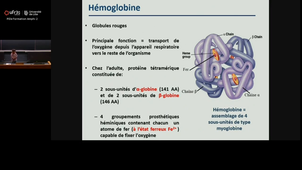 20250919_Cauffiez_9h-10h_las2.mp4