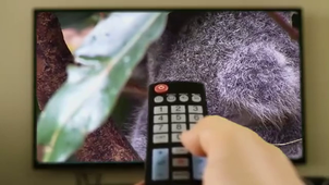 montage de freitas Mathias.mp4