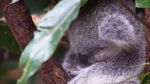 Vidéo sans titre ‐ Réalisée avec Clipchamp.mp4