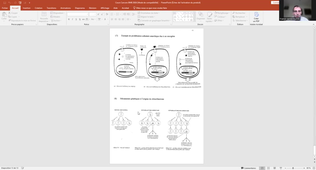 Cours Cancers Partie 2.mp4