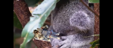 Clipchamp_VANDEKERCKHOVE_Ayliana.mp4