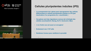 Cours Pr Marchetti - vendredi 31 octobre - 10h à 11h