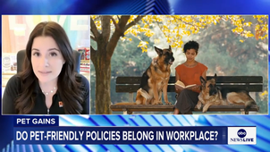 Pets at work.mp4