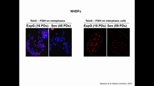 Cours - M2 Physique médicale - Introduction à la biologie 6 - Corinne ABBADIE - 2020 11 13