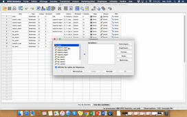 Tuto SPSS - Lancement analyse univariée