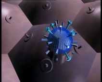 médic anti viral.wmv