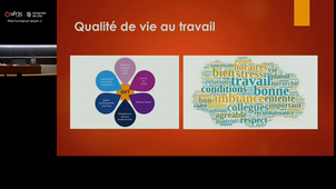 20251028_Seminaire_Martinot_14h30-15h30_las2.mp4