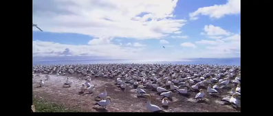 Montage Giulia Chirulli G4 ‐ Réalisée avec Clipchamp.mp4