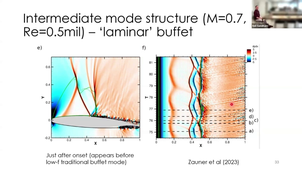 N. SANDHAM - Separation bubbles in transonic, supersonic and hypersonic flows