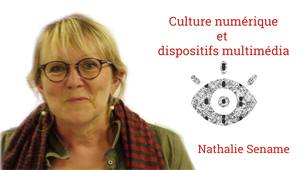 Culture numérique et dispositifs multimédia
