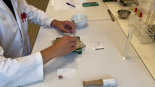 TP3 gélules poudre.mp4