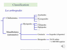 4A Officine Arthropodes domiciliaires_1