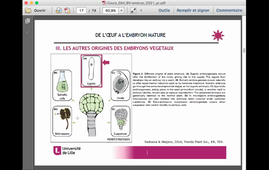 S5 BCP Cours 1 DAV: Embryologie Végétale (AS Blervacq)