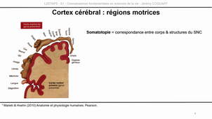 L2-UE3.1-CM3-Capsule2.mp4
