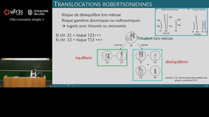 Cours Pr PLANTE BORDENEUVE - lundi 24 novembre - 8h00-9h30
