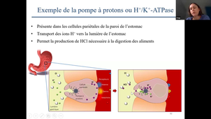 Recepteurs et Transporteurs - N. Leleu - 16 oct 2023.mp4