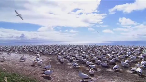 Vidéo sans titre ‐ Réalisée avec Clipchamp Mahina TANCHON.mp4