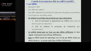 20251107_Hamdane_17h-18h_las2.mp4