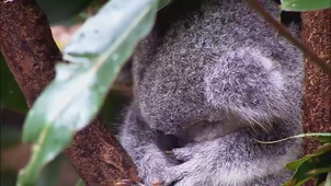 Vidéo sans titre ‐ chouaib hammouche.mp4