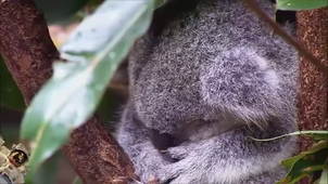 Vidéo sans titre ‐ Réalisée avec Clipchamp.mp4