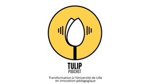 Tulip.mp4