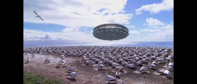 première vidéo ‐ Réalisée avec Clipchamp.mp4